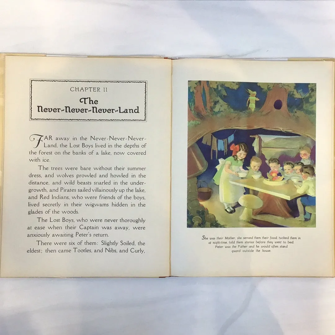 -The Picture Story Book of Peter Pan*