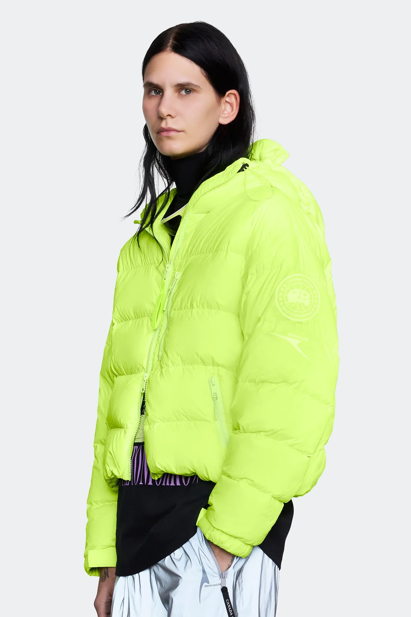Concord Puffer