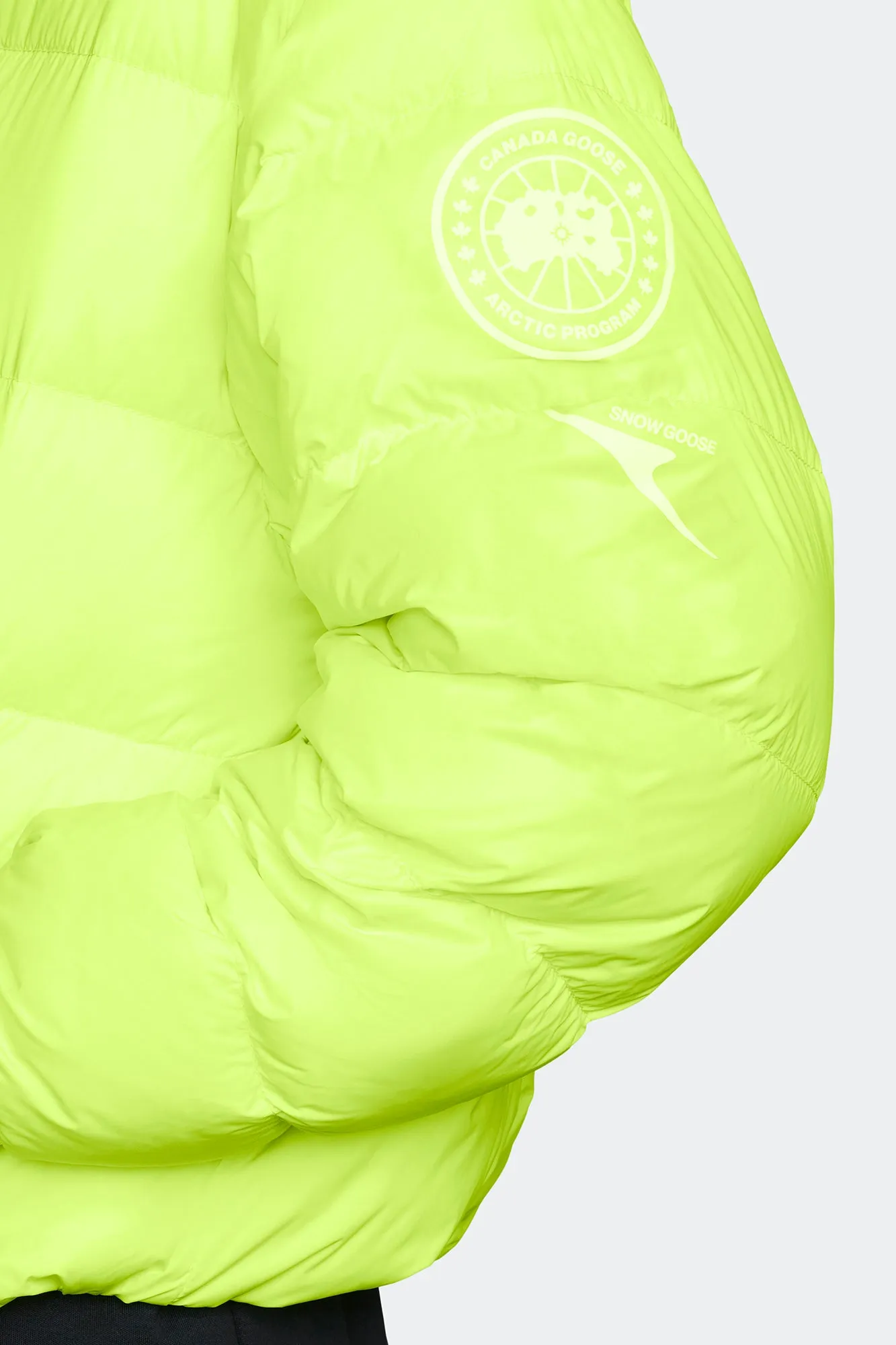 Concord Puffer