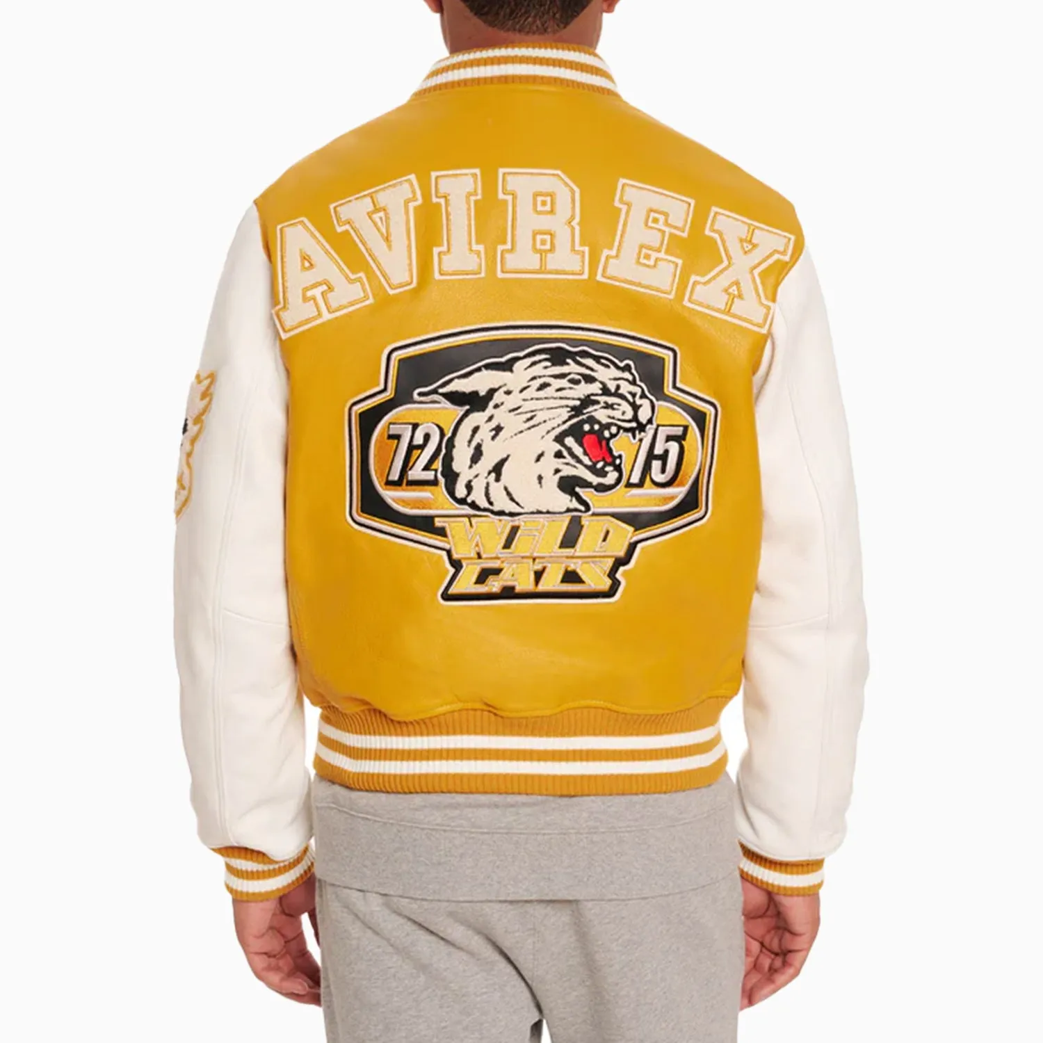 Men's Wildcat Varsity Leather Jacket
