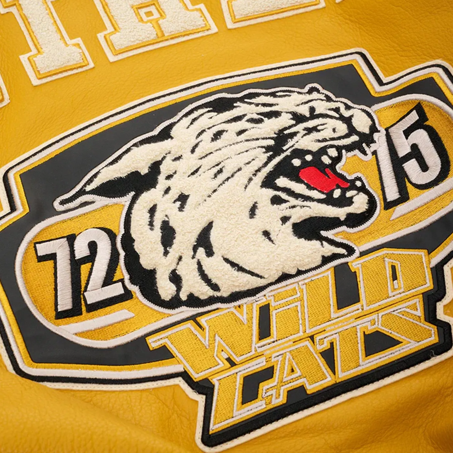Men's Wildcat Varsity Leather Jacket
